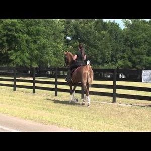 Meet your Posher, Jayna